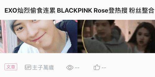 推特爆料朴灿烈视频下载,独家下载解析！  第3张